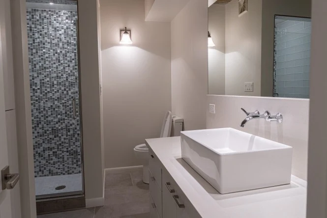 Guest bath, mosaic shower